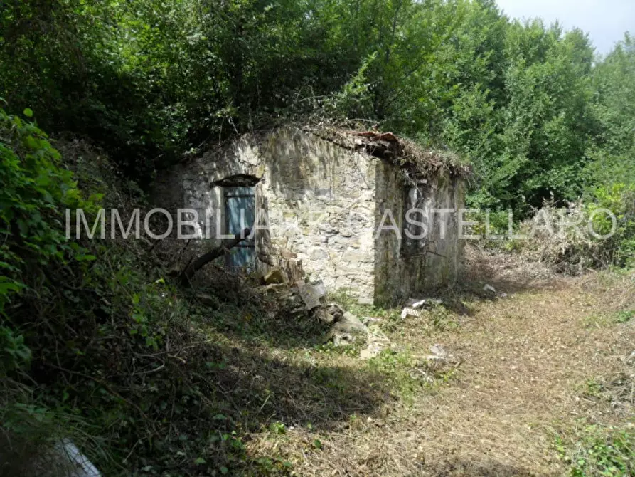 Immagine 2 di Terreno in vendita  in Aurelia BIs a San Remo