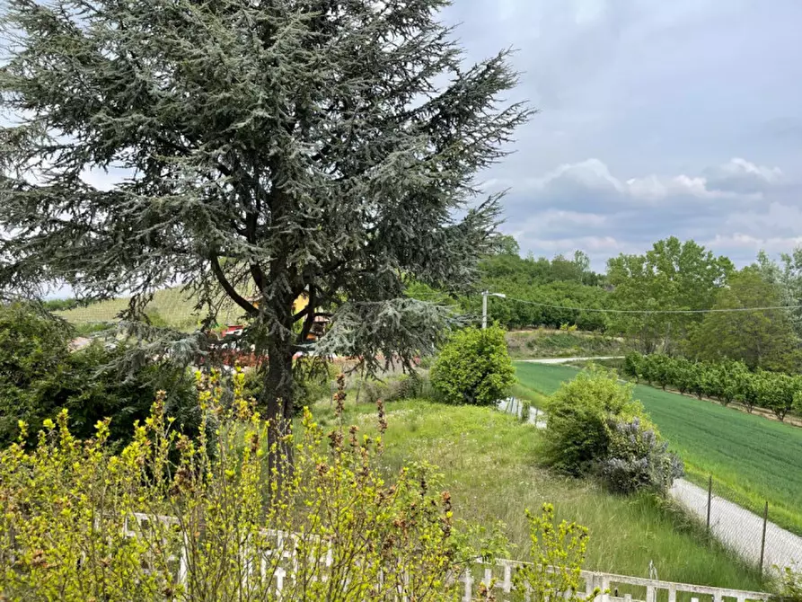 Immagine 9 di Casa indipendente in vendita  in Località San Bartolomeo 62 a Cherasco