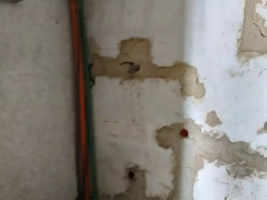 Immagine 16 di Casa indipendente in vendita  in via Pensavalle n.69 a Palagonia