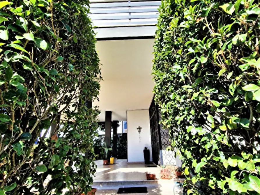 Immagine 5 di Casa indipendente in vendita  in via Vittorio Veneto a Este