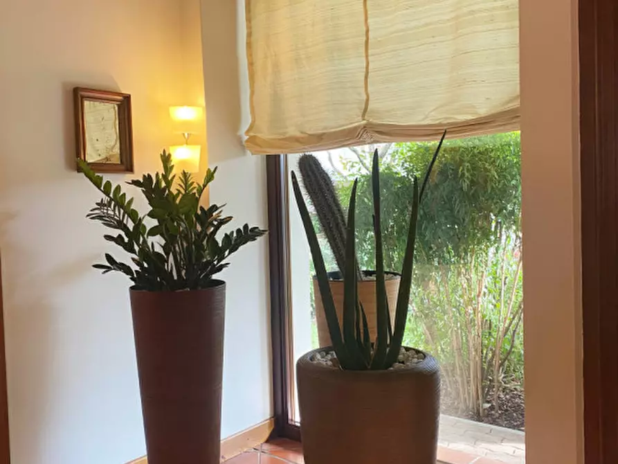 Immagine 7 di Rustico / casale in vendita  in via San Pio X 34/a a Castelfranco Veneto