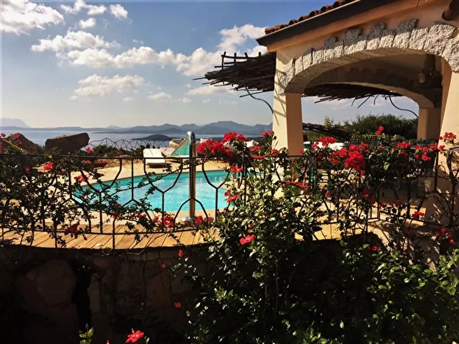 Immagine 2 di Villa in vendita  in via li scali a Arzachena