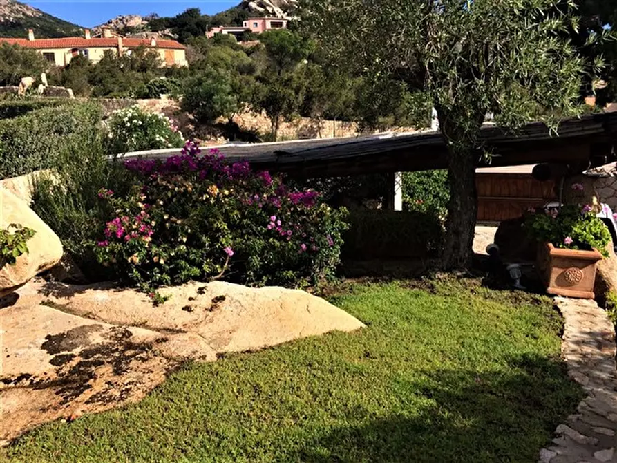 Immagine 32 di Villa in vendita  in via li scali a Arzachena