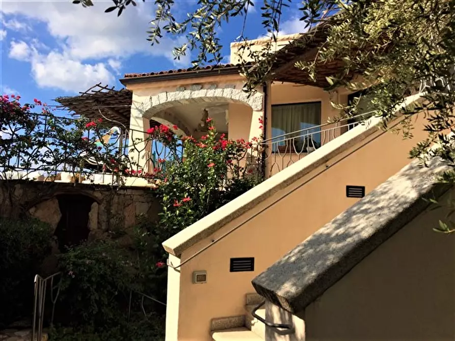 Immagine 36 di Villa in vendita  in via li scali a Arzachena