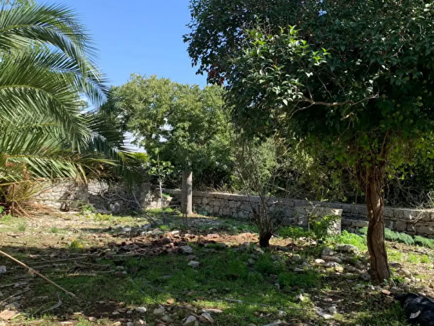 Immagine 10 di Rustico / casale in vendita  in vanella 11 a Modica