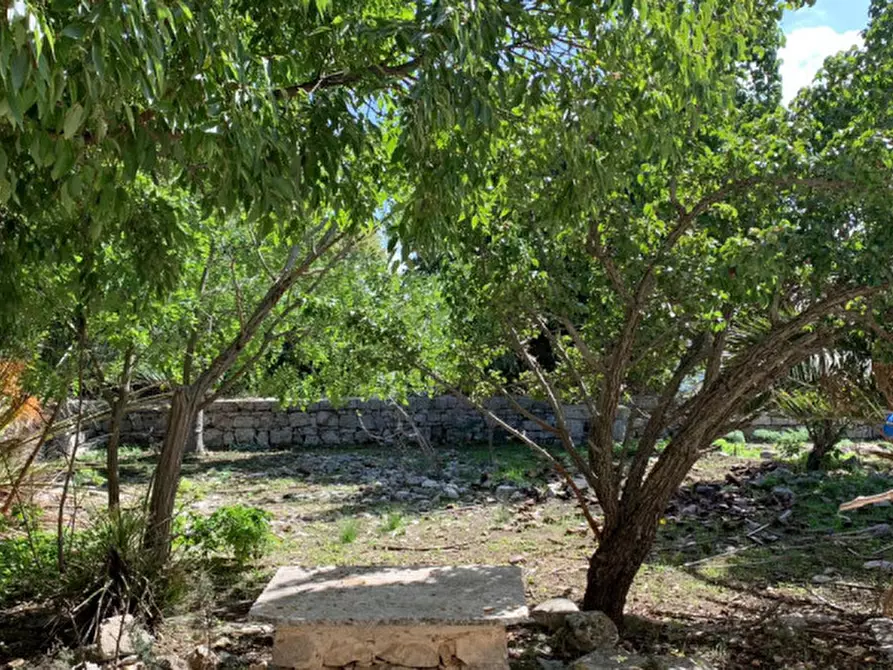 Immagine 24 di Rustico / casale in vendita  in vanella 11 a Modica