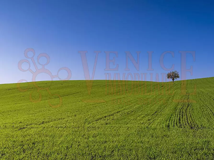 Immagine 2 di Terreno in vendita  a Camponogara