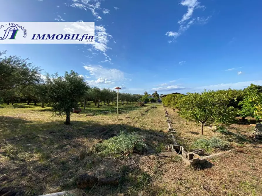 Immagine 6 di Terreno in vendita  in contrada de simone a Misilmeri