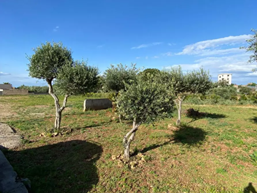 Immagine 10 di Terreno in vendita  in contrada de simone a Misilmeri