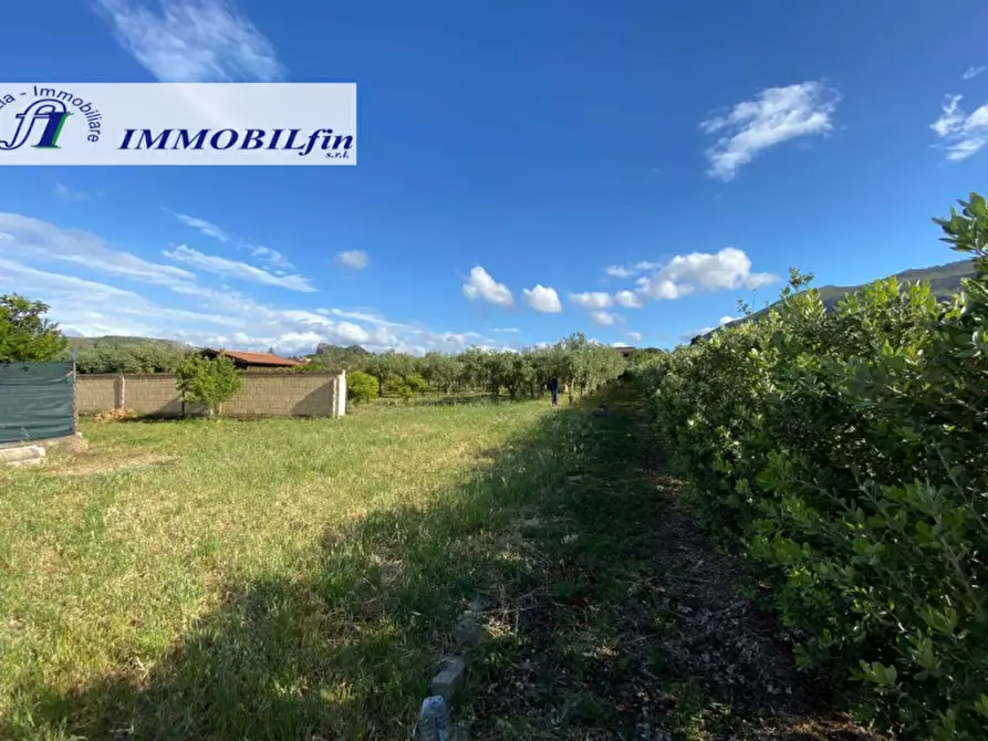 Immagine 11 di Terreno in vendita  in contrada de simone a Misilmeri