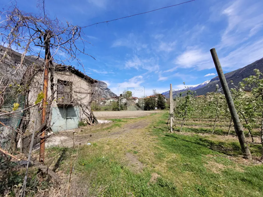 Immagine 8 di Rustico / casale in vendita  in via prabi a Dro