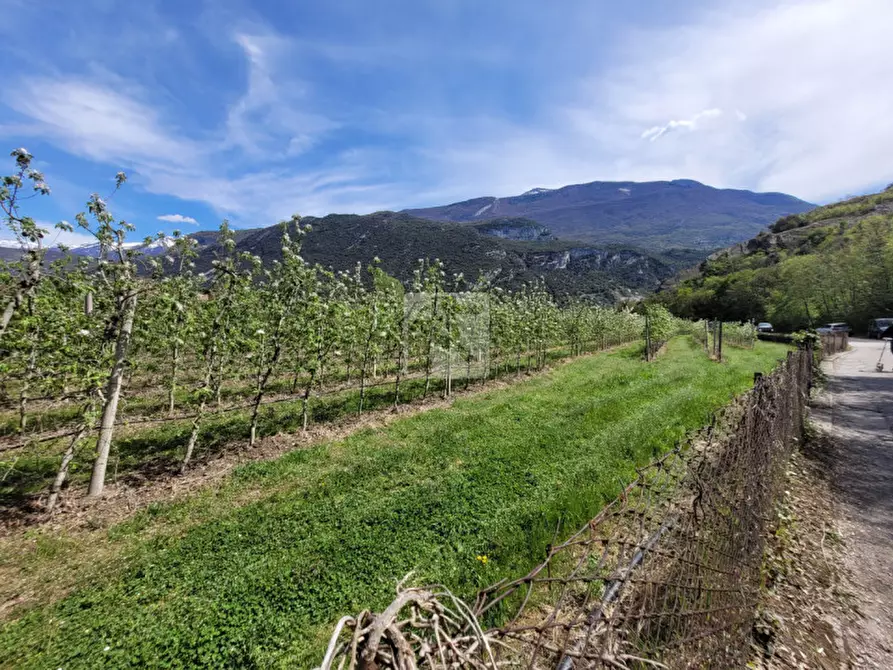 Immagine 12 di Rustico / casale in vendita  in via prabi a Dro