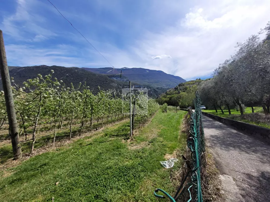 Immagine 15 di Rustico / casale in vendita  in via prabi a Dro