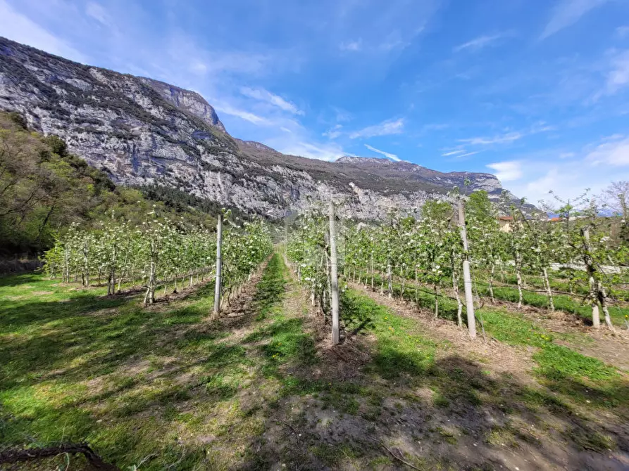 Immagine 16 di Rustico / casale in vendita  in via prabi a Dro