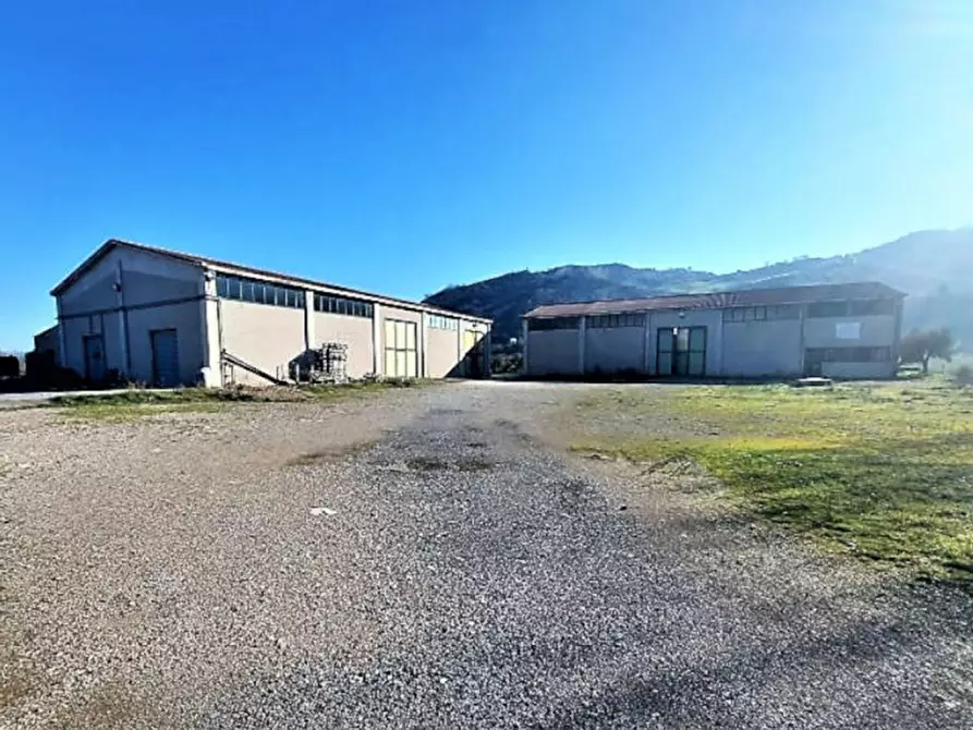 Immagine 1 di Capannone industriale in vendita  in contrada San Giacomo in Corsano, N. snc a Montecalvo Irpino