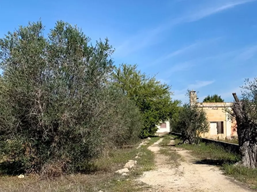 Immagine 17 di Casa indipendente in vendita  in Contrada Bonamì a Matino