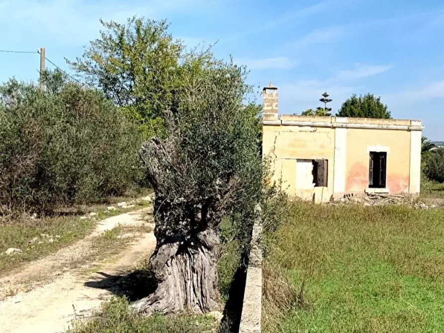 Immagine 21 di Casa indipendente in vendita  in Contrada Bonamì a Matino