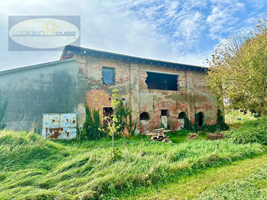 Immagine 21 di Rustico / casale in vendita  in Strada Zenzalino, 14 a Argenta