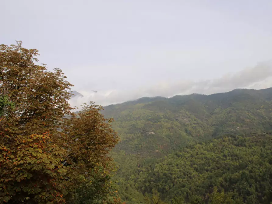 Immagine 14 di Appartamento in vendita  in Via Podestà a Baiardo
