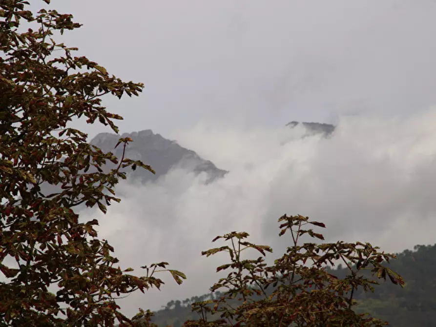 Immagine 15 di Appartamento in vendita  in Via Podestà a Baiardo