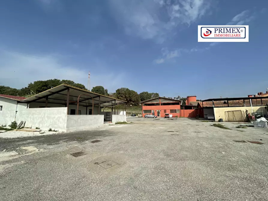 Immagine 5 di Attività commerciale in affitto  in VIA DI TRIGORIA a Roma