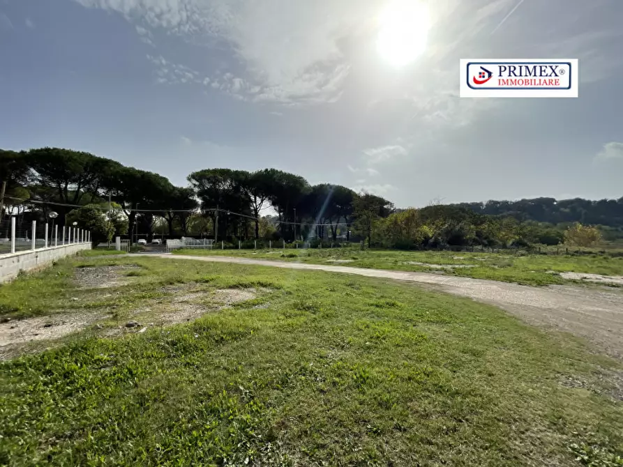 Immagine 6 di Attività commerciale in affitto  in VIA DI TRIGORIA a Roma