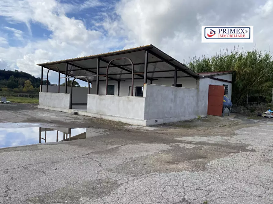 Immagine 8 di Attività commerciale in affitto  in VIA DI TRIGORIA a Roma