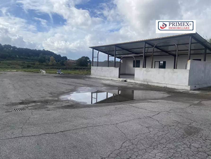 Immagine 10 di Attività commerciale in affitto  in VIA DI TRIGORIA a Roma