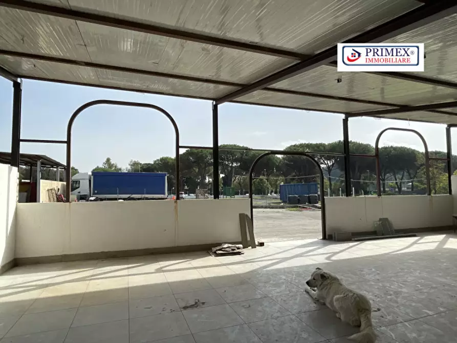 Immagine 12 di Attività commerciale in affitto  in VIA DI TRIGORIA a Roma