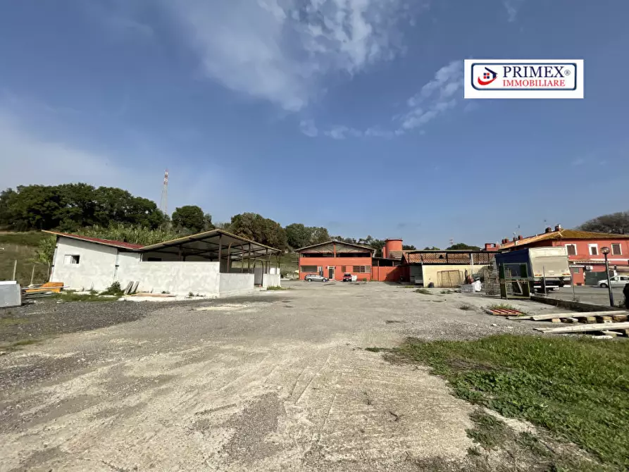 Immagine 15 di Attività commerciale in affitto  in VIA DI TRIGORIA a Roma