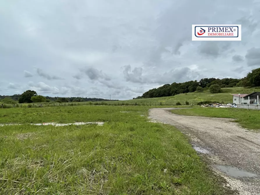 Immagine 16 di Attività commerciale in affitto  in VIA DI TRIGORIA a Roma