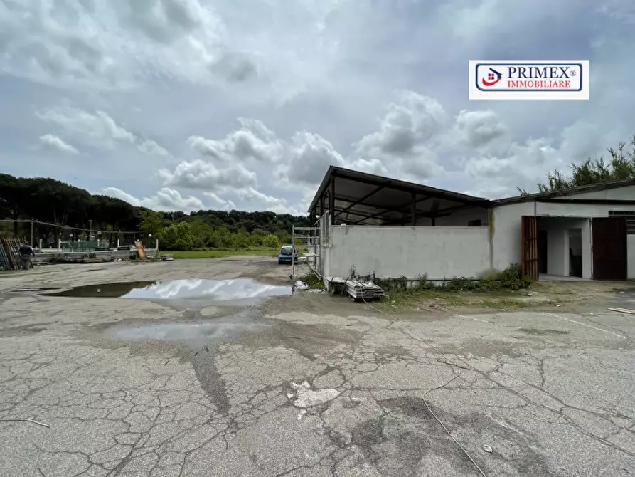 Immagine 17 di Attività commerciale in affitto  in VIA DI TRIGORIA a Roma