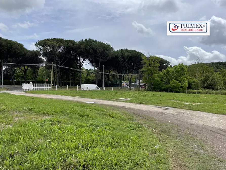 Immagine 19 di Attività commerciale in affitto  in VIA DI TRIGORIA a Roma