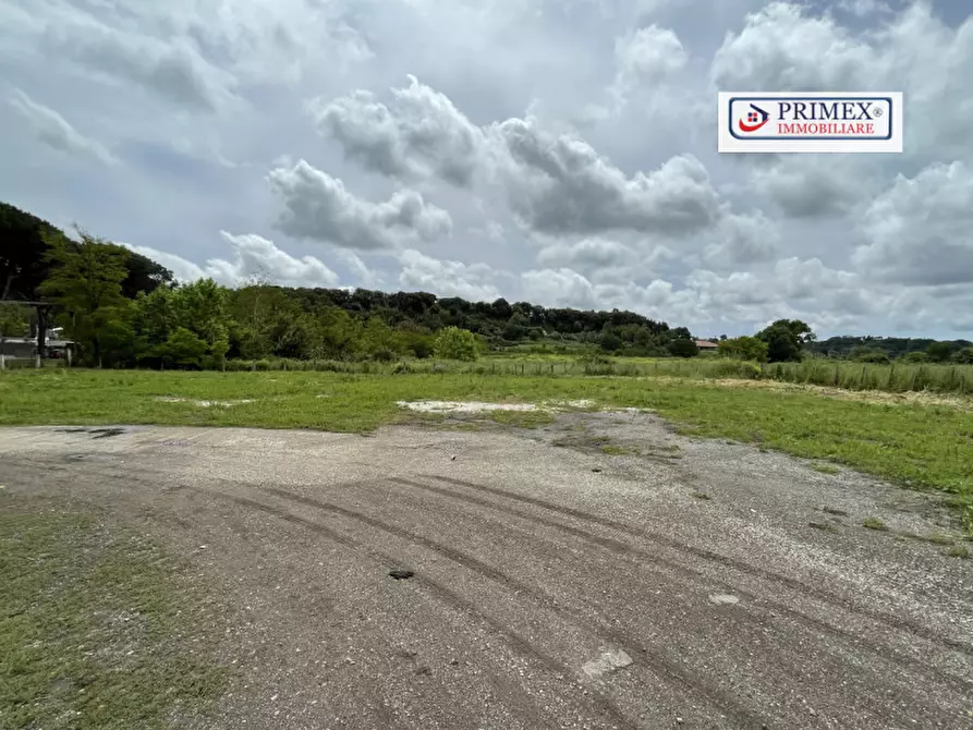 Immagine 20 di Attività commerciale in affitto  in VIA DI TRIGORIA a Roma