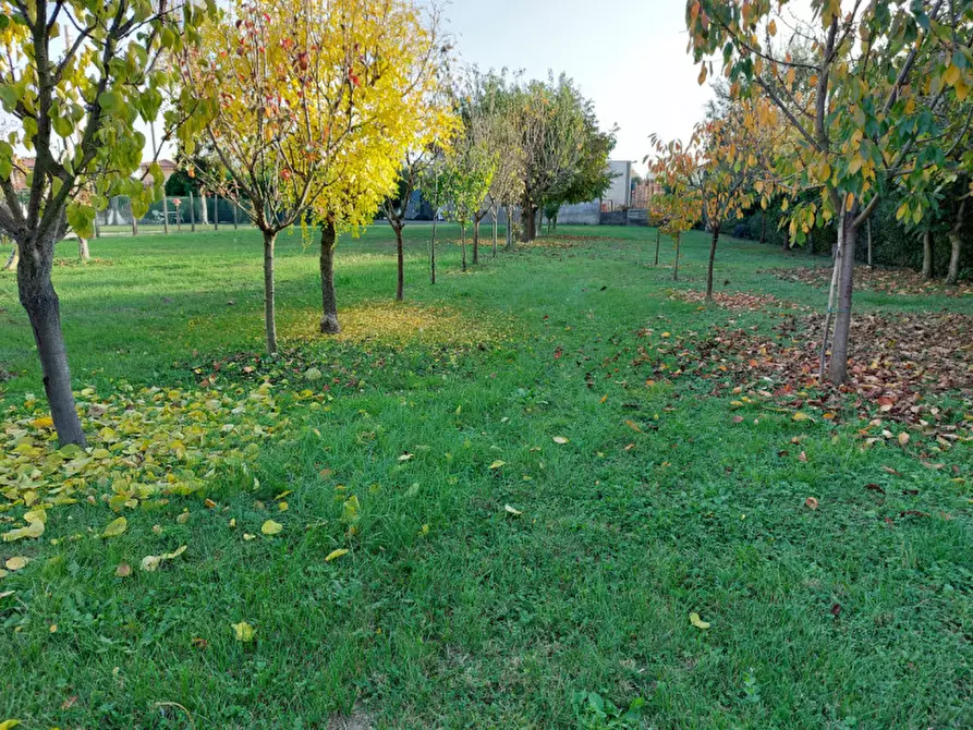 Immagine 2 di Terreno in vendita  a Badia Polesine