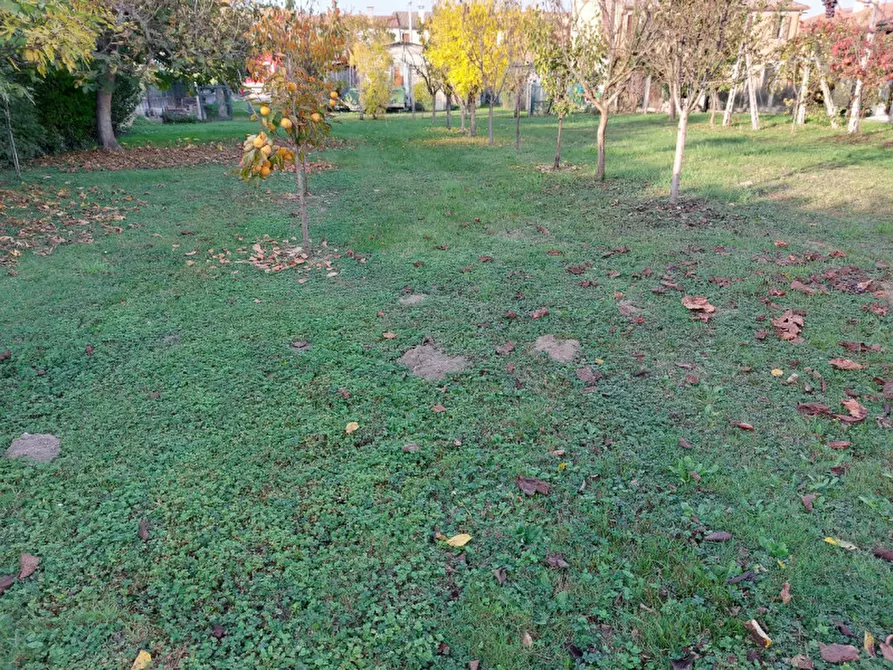 Immagine 3 di Terreno in vendita  a Badia Polesine