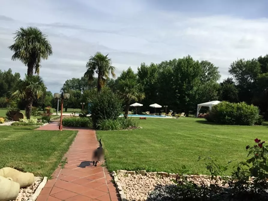 Immagine 23 di Villa in vendita  in PERAGA DI VIGONZA RIF 2363 a Vigonza