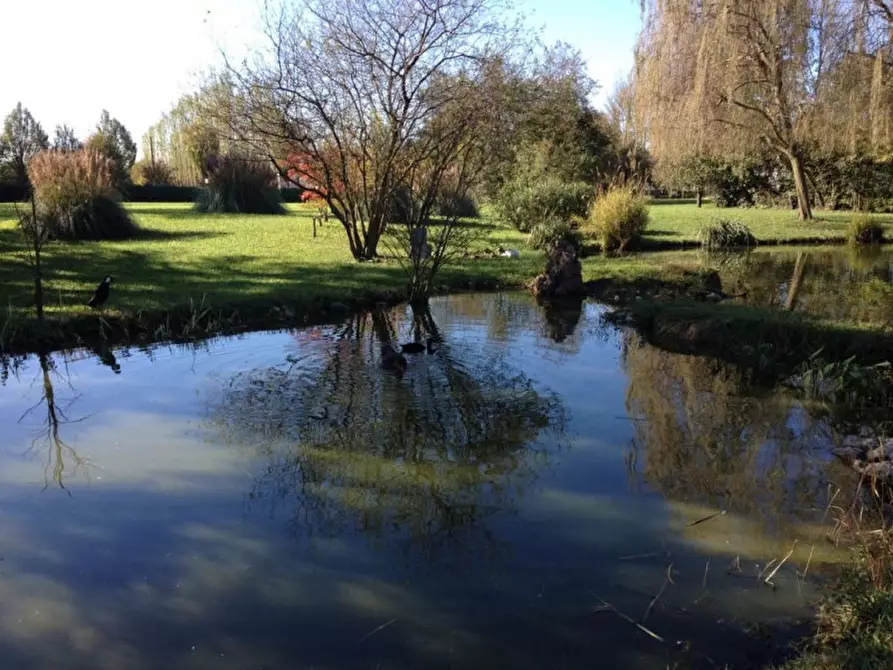 Immagine 27 di Villa in vendita  in PERAGA DI VIGONZA RIF 2363 a Vigonza