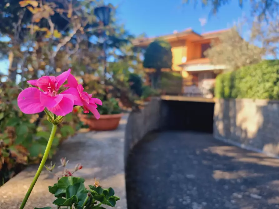 Immagine 1 di Villa in vendita  in adiacente via di salè a Frascati