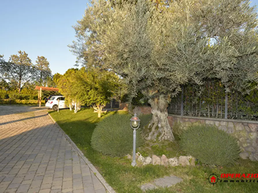 Immagine 45 di Villa in vendita  in via tor di sasso a Roma