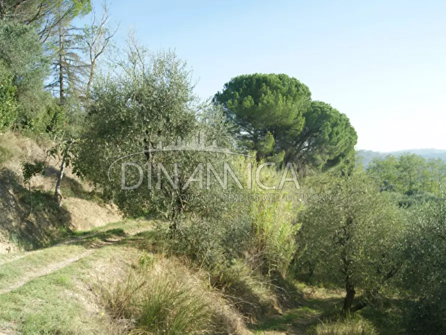 Immagine 26 di Rustico / casale in vendita  a Palaia