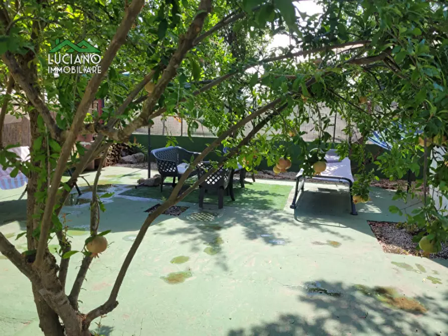 Immagine 16 di Villa in vendita  in SP 272 a Cellole