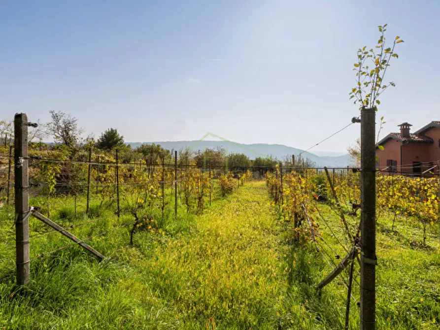 Immagine 2 di Terreno in vendita  a Tavernerio