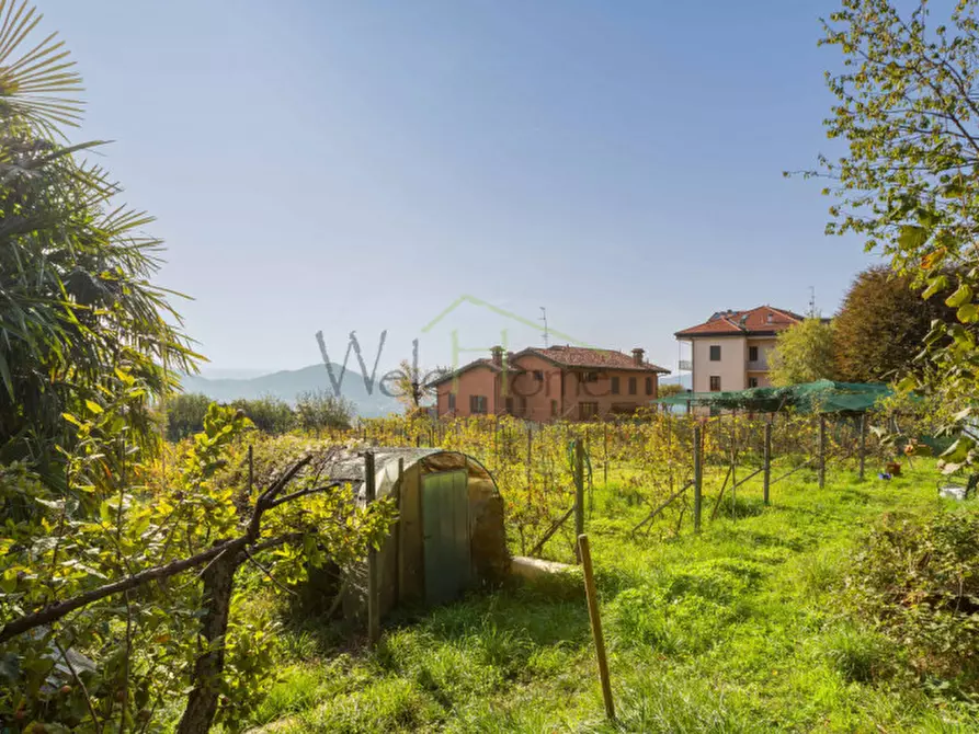 Immagine 4 di Terreno in vendita  a Tavernerio