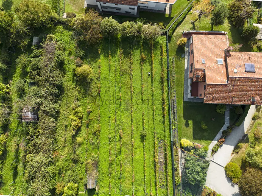 Immagine 5 di Terreno in vendita  a Tavernerio