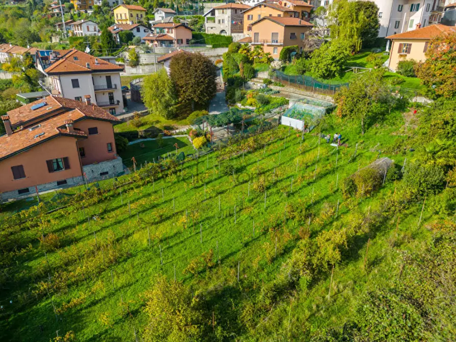Immagine 6 di Terreno in vendita  a Tavernerio