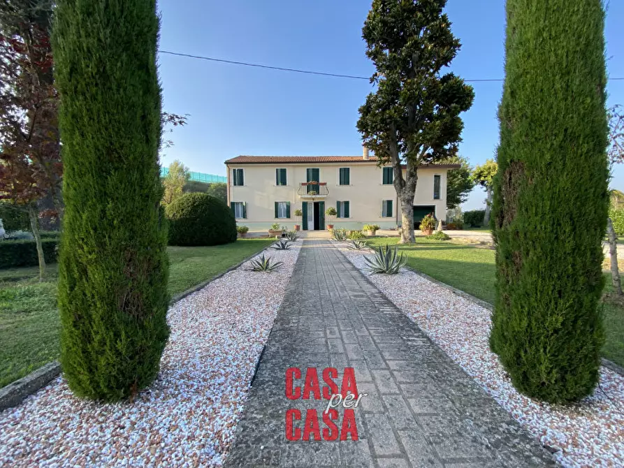 Immagine 31 di Rustico / casale in vendita  in via postale vecchia sud 3 a Borgo Veneto