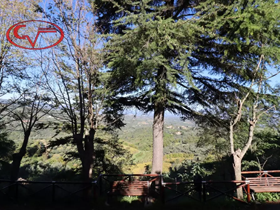 Immagine 9 di Casa indipendente in vendita  in moncioni a Montevarchi