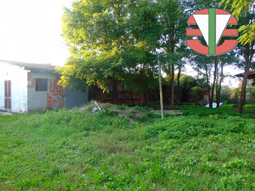 Immagine 2 di Terreno in vendita  a Trebaseleghe