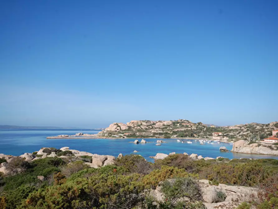 Immagine 3 di Terreno in vendita  in Via Guardia Gellone a La Maddalena
